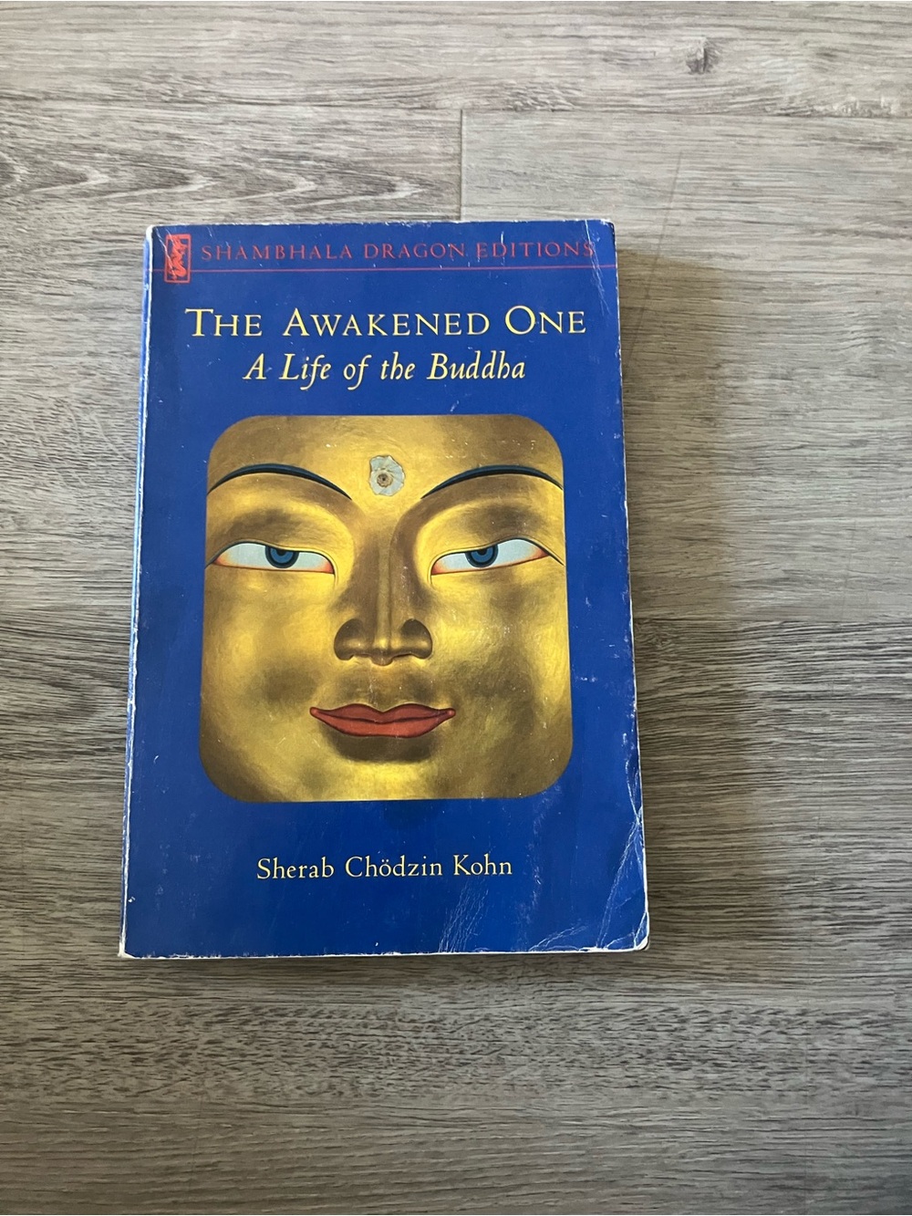 3/$15 The Awakened One: A Life of the Buddha - Blue Cover